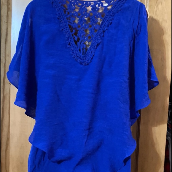 Blue Blouse - Picture 5 of 7